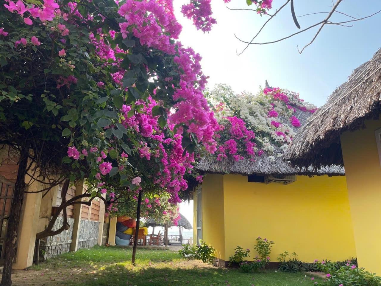 Orchid Boutique Beach Resort Phan Thiết Buitenkant foto