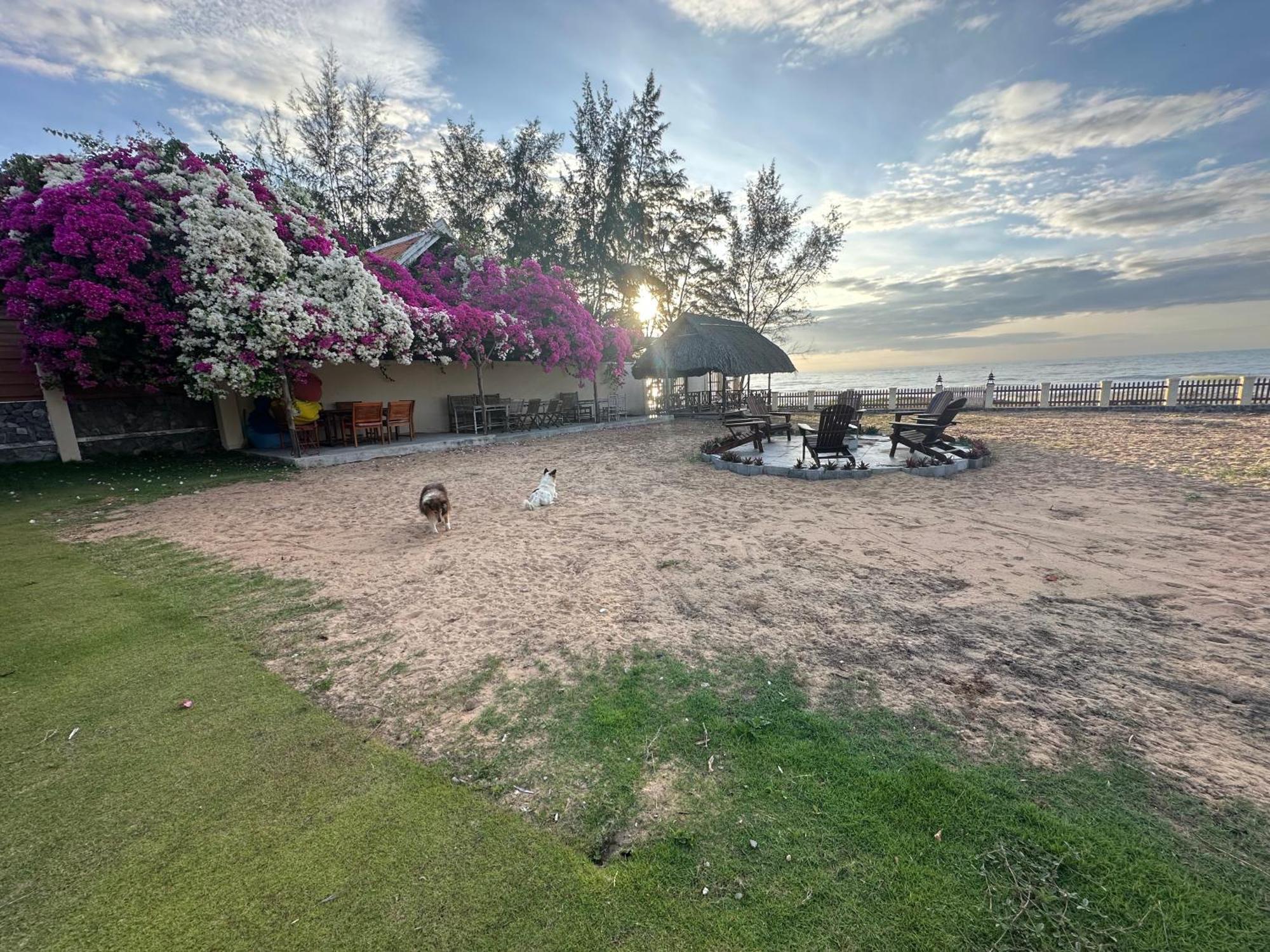 Orchid Boutique Beach Resort Phan Thiết Buitenkant foto