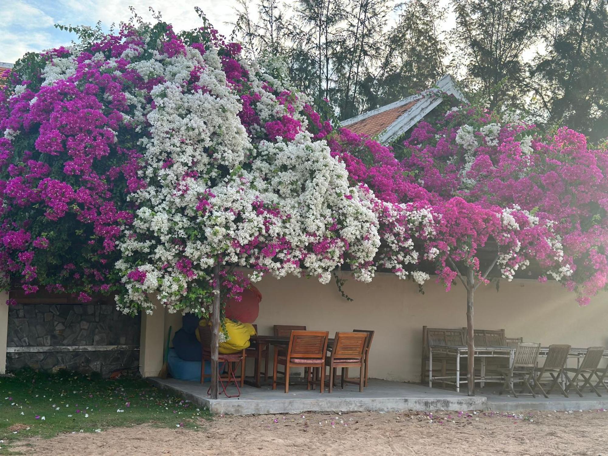 Orchid Boutique Beach Resort Phan Thiết Buitenkant foto